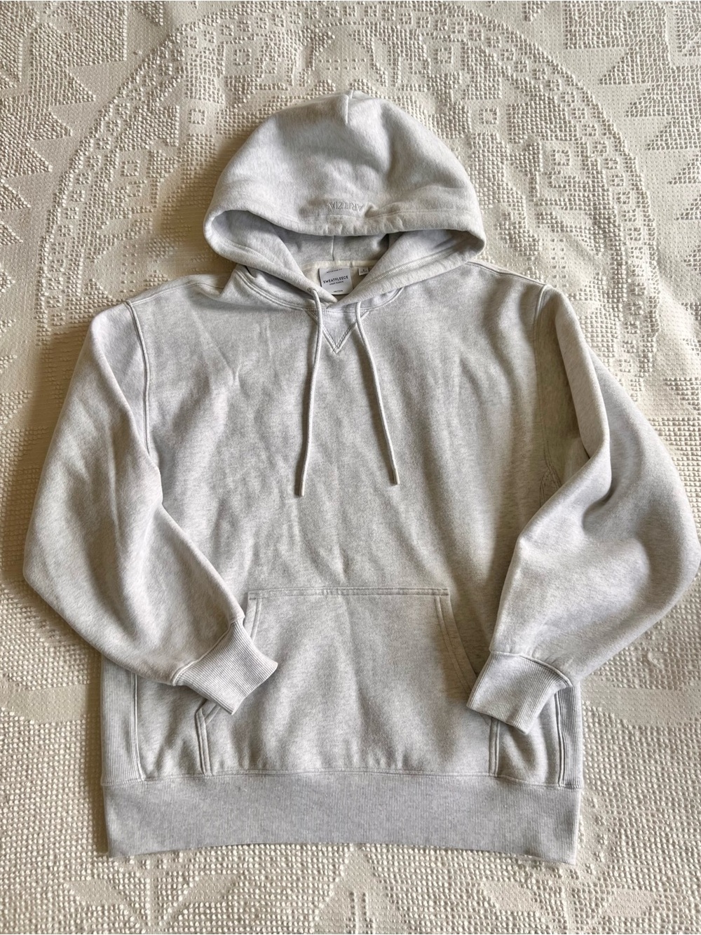 Aritzia SweatFleece Cozy Fleece Light Gray hoodie